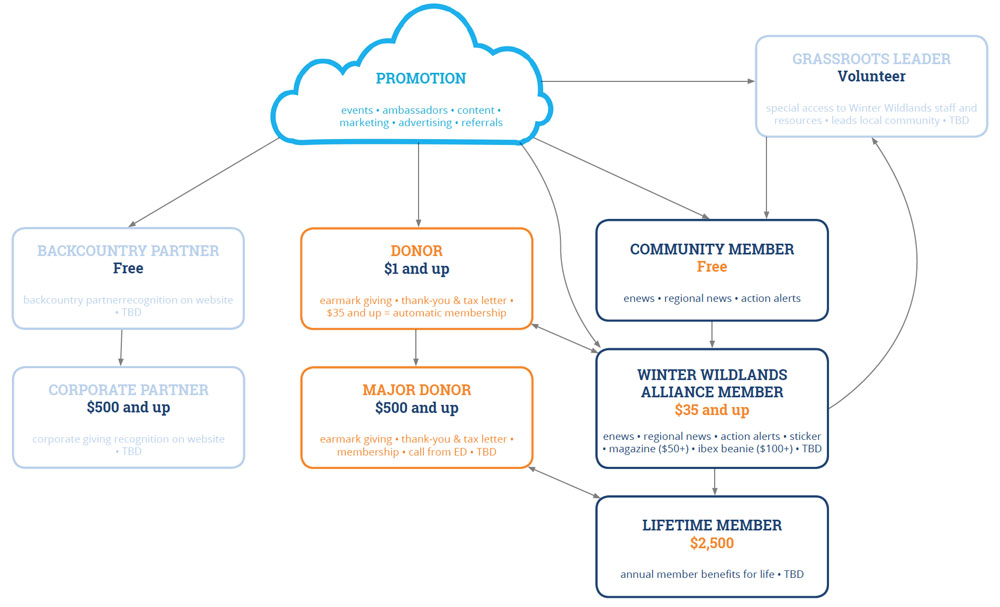 wwa membership strategy marketing