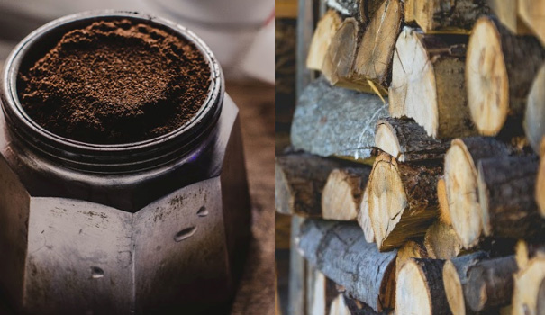 bonfire-branding wood coffee espresso